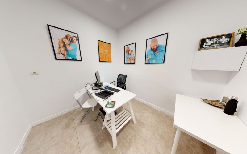 Tu coworking junto a Donostia-San Sebastián